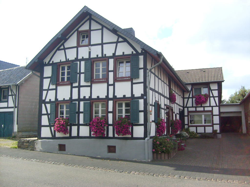 Ferienwohnung Duerbaum Schleiden Exterior photo